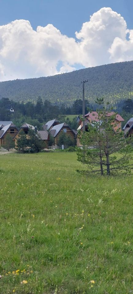 Plac Zlatibor 5 ari